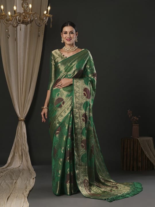 Green Semi Organza Saree With Elegant Rangkart Pattern Circle And Zari Detailing