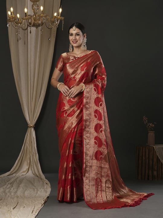 Crimson Red Semi Organza With Elegant Rangkart Pattern Circle And Zari Detailing