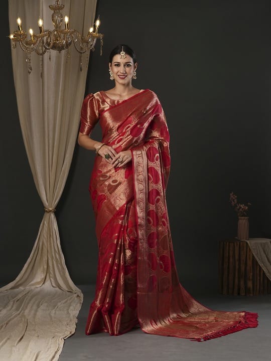 Crimson Red Semi Organza With Elegant Rangkart Pattern Circle And Zari Detailing